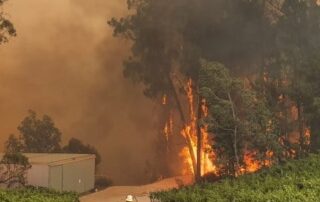 aerial-firefighting-units-on-standby-as-south-australia-prepares-for-‘extreme’-fire-danger