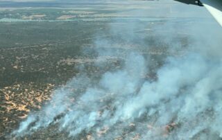 grassfire-in-south-australia’s-murraylands-downgraded-to-advice-level