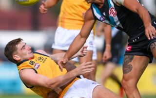 port’s-powell-pepper-feels-the-wrath-of-afl’s-tougher-stance-on-high-hits-with-lengthy-suspension