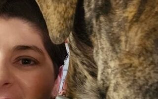 residents-in-victoria’s-hottest-region-frustrated-they-don’t-get-fee-help-for-insulation