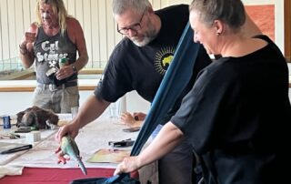 puppet-show-gives-remote-town-outlet-for-flood-trauma-—-but-it’s-not-all-doom-and-gloom