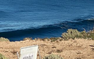 eyre-peninsula-councils-defer-decision-on-shark-culling,-following-spate-of-attacks