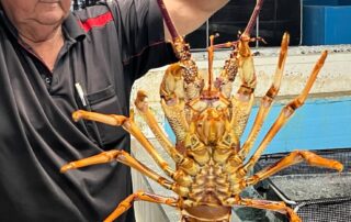 rock-lobster-industry-‘getting-nervous’-in-sa-as-abalone-disease-control-area-is-extended