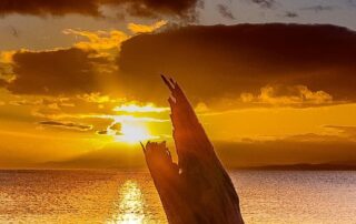 near-record-autumn-heat-bakes-south-east-while-cyclone-threat-returns-to-australia’s-north