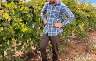 newly-announced-wine-taskforce-to-spotlight-glut-as-industry-reaches-crisis-point