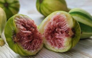 fruit-collector’s-favourite-time-of-year-arrives-as-obscure-figs-come-into-season