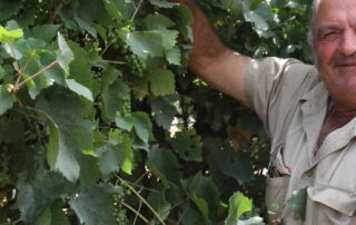 ‘tank-farms’-a-stark-reality-of-australia’s-wine-industry-crisis-even-if-china-drops-tariffs