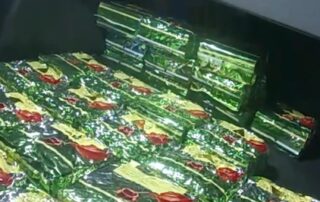 woman-charged-with-drug-trafficking-after-$4.7-million-ice-bust-on-the-gold-coast