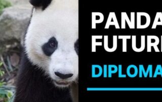 adelaide-zoo’s-giant-pandas-set-to-return-to-china-end-of-year