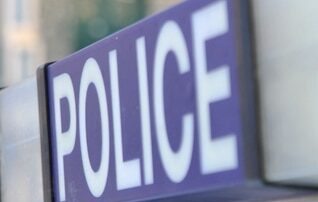 sydney-police-officer-accused-of-stealing-louis-vuitton-purse,-jewellery-and-cash-while-on-duty