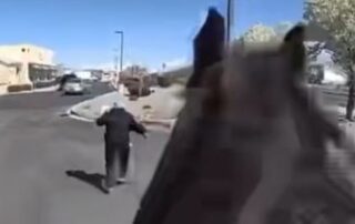 us-police-chase-accused-shoplifter-down-on-horseback