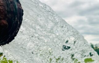 more-than-100-towns-rely-on-this-outback-freshwater-source-–-but-what-if-it-was-contaminated?