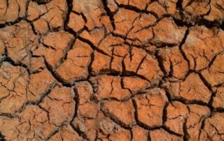 scientists-warn-australians-to-prepare-for-megadroughts-that-last-more-than-20-years