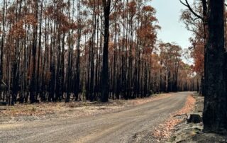 two-men-arrested-after-23yo-woman’s-body-found-near-ballarat