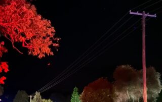 police-shoot-42-year-old-man-after-fatal-stabbing-near-gympie,-queensland