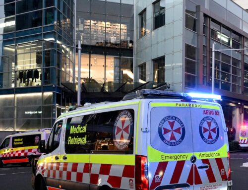 ‘They don’t stand a chance’: After the Bondi Junction attack, do security guards need more powers?
