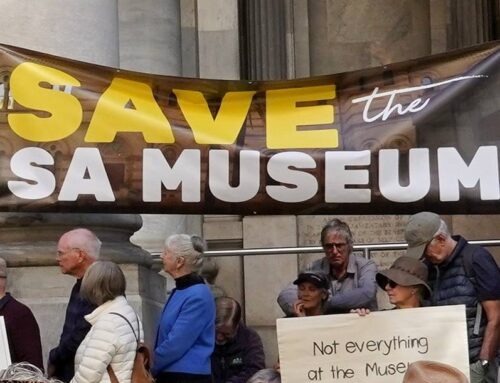 ‘Reimagining’ of SA Museum paused amid public outcry as state government launches review