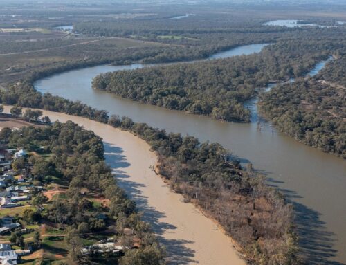 Murray-Darling Basin water ‘vulnerable to theft’ due to law inconsistencies across the states