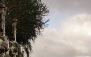 infamous-child-killer-to-launch-fresh-appeal-to-have-sentence-overturned