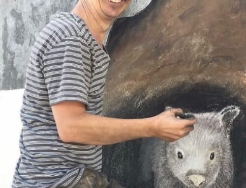 From marsupials to Matildas, how a viral wombat mural changed an ex-chef’s life