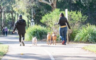 woman-allegedly-confronted-by-man-in-adelaide-park-left-feeling-‘uneasy-about-my-safety’