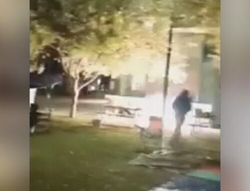 Fireworks launched at student protesters at University of Adelaide