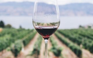 wine-industry-warns-regional-communities-at-risk-of-collapse-without-aid-for-sector