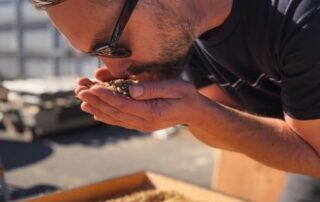 boutique-brewer-launches-beer-made-with-camel-dung