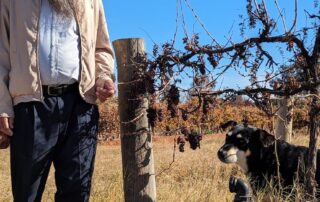 australia’s-largest-wine-grape-growing-region-rejects-‘mean’-buy-out-offer