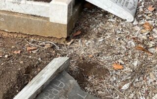 calls-for-cemetery-investment-after-vandals-desecrate-historic-site-in-port-lincoln