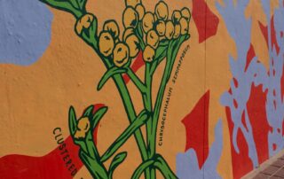 ‘nasty’-and-‘disturbing’-response-to-mural-along-adelaide-beach-condemned-by-mayor