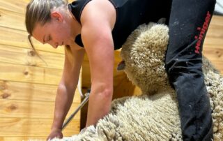 being-told-‘you-cry-too-much’-made-maxi-more-determined-to-excel-at-shearing