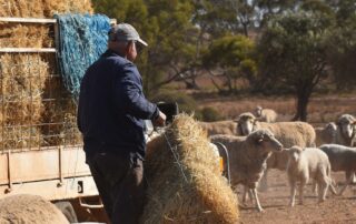 almost-half-sa-farmers-expect-‘extraordinarily-dry’-conditions-to-worsen