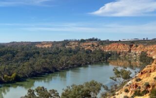 river-stink-no-cause-for-alarm-as-ecosystem-strengthens-to-bring-exciting-new-life