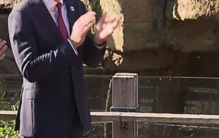 new-pair-of-giant-pandas-provided-to-adelaide-zoo