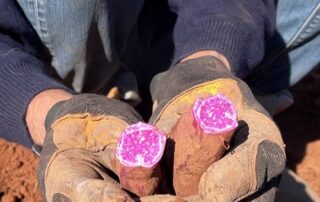 colourful-varieties-of-kitchen-staple-win-praise-for-packing-healthy-punch