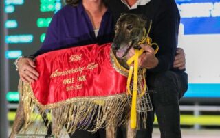 greyhound-trainer-handed-life-ban-following-abc-investigation