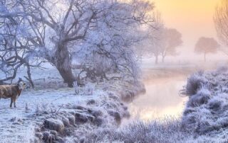 these-places-lay-claim-to-being-the-coldest-in-australia,-as-the-bitter-cold-snap-continues