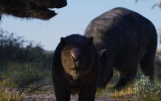 think-you-know-your-diprotodon-from-your-procoptodon?-take-our-mega-megafauna-quiz-to-find-out