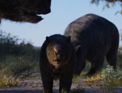 Think you know your diprotodon from your procoptodon? Take our mega megafauna quiz to find out