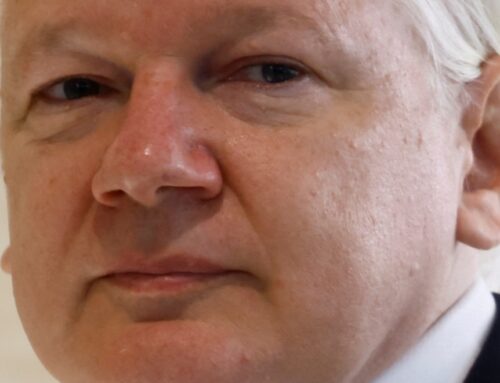 Julian Assange released after court accepts plea deal, WikiLeaks says he will fly to Canberra