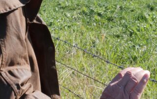 ‘deeply-conservative-views-of-gender’,-rural-pressures-add-to-soaring-domestic-violence-in-the-bush