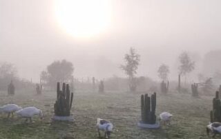 adelaide-records-coldest-morning-in-years-with-homelessness-services-on-standby