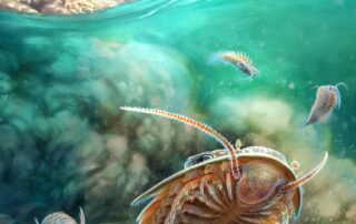 how-the-discovery-of-a-509-million-year-old-fossil-flipped-palaeontology-on-its-head
