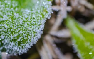 frosty-weather-sends-minimum-temperatures-below-zero-across-parts-of-southern-australia