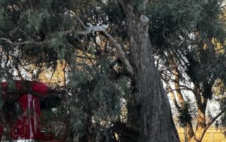 driver-pleads-guilty-to-causing-northern-victorian-crash-that-killed-five-people