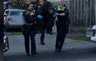 police-recover-stolen-statue-of-garry-the-gorilla