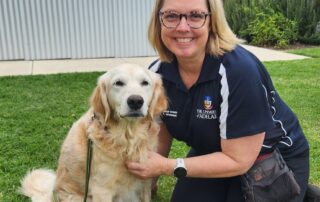 how-do-we-combat-doggy-dementia?-keep-teaching-old-dogs-new-tricks