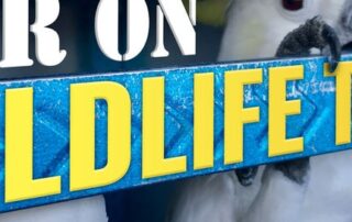 forensic-science-is-helping-combat-wildlife-trafficking