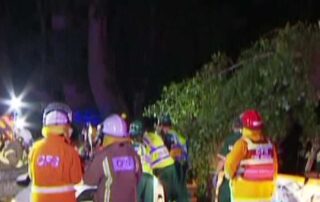 woman’s-death-from-falling-tree-branch-‘may-have-been-preventable’,-court-hears